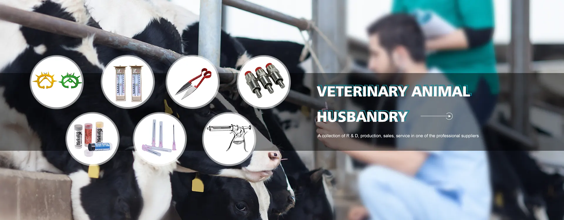 Pembekal Alat Veterinar