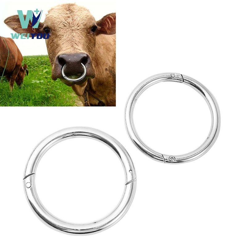 Cincin Lembu